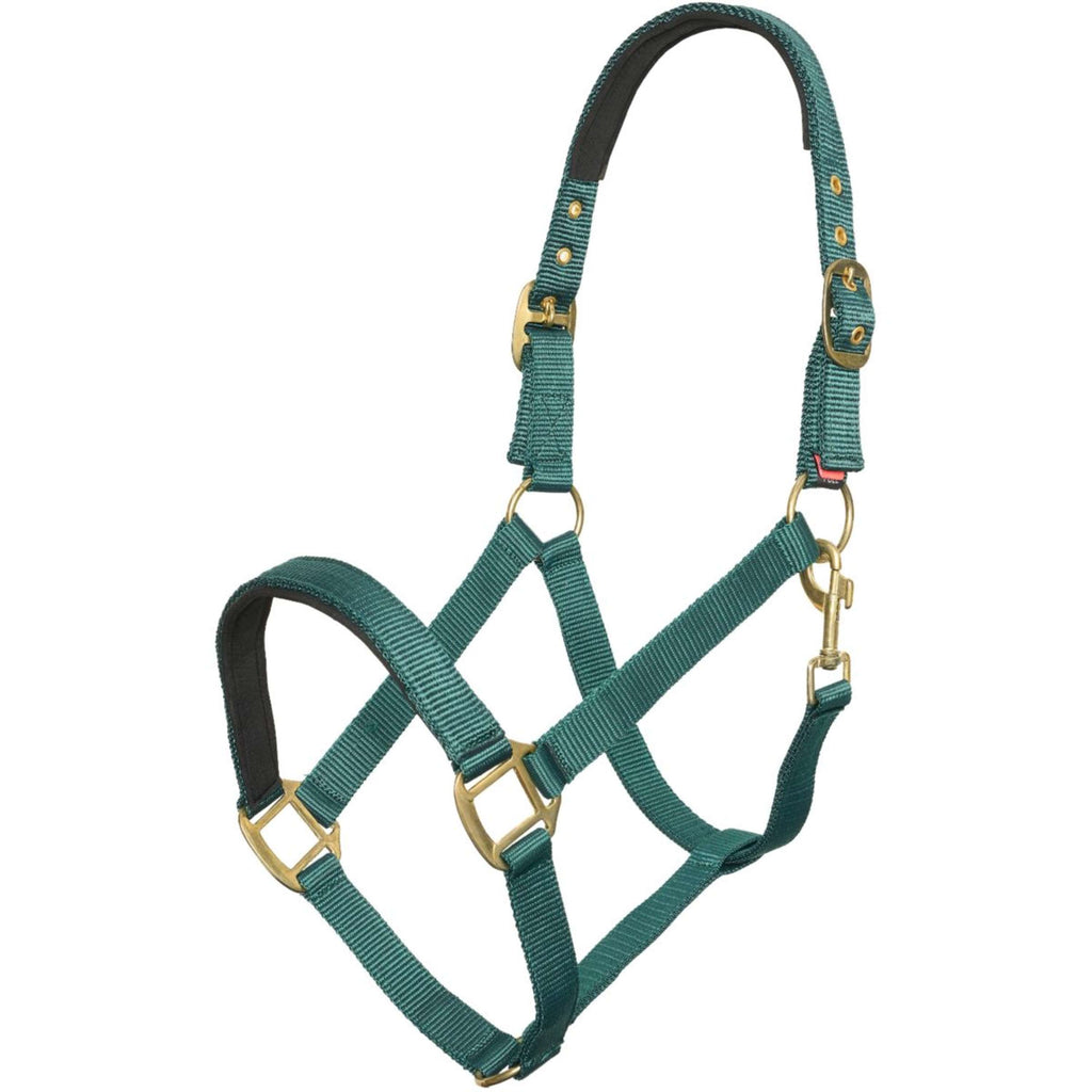 Imperial Riding Halster Classic Sport Forest Green