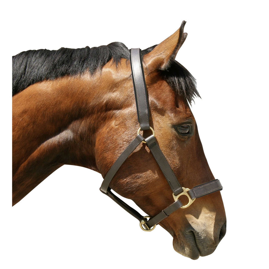 Covalliero Halster Robuust Leder Bruin
