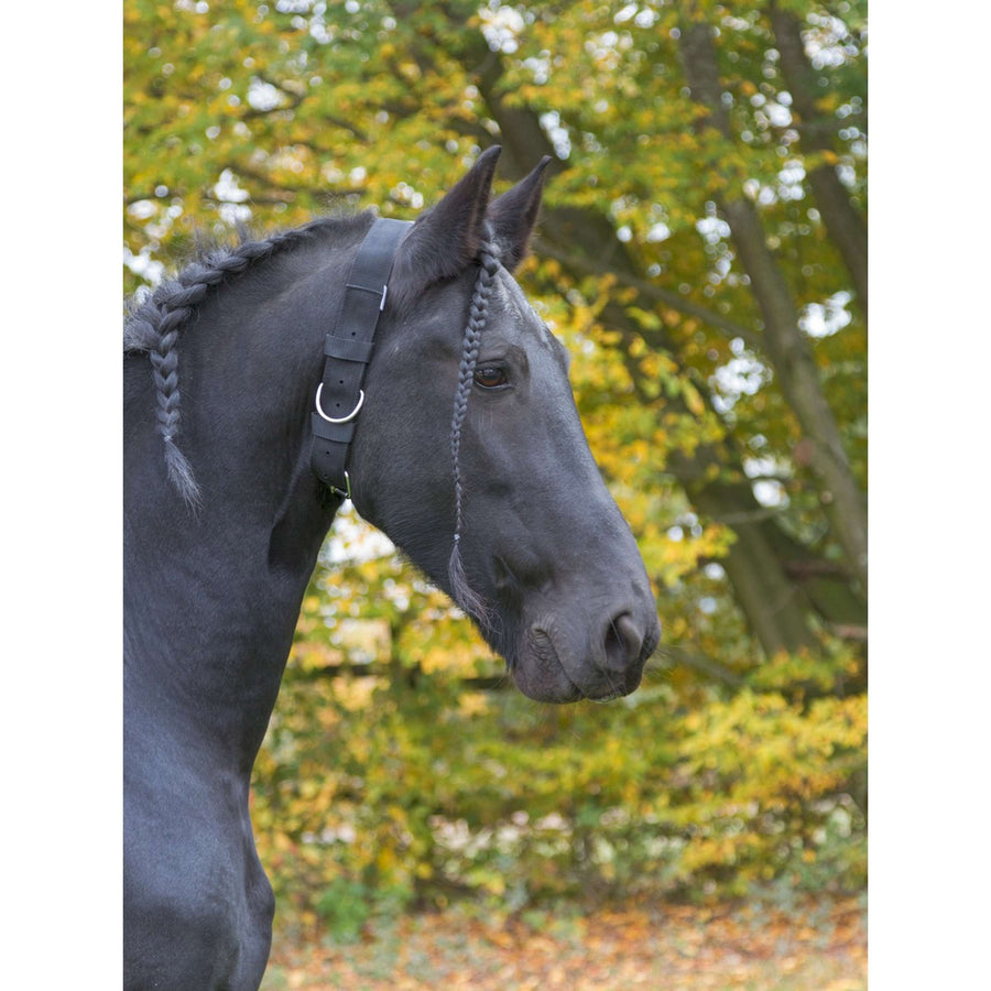 Kerbl Paardenhalsband Zwart