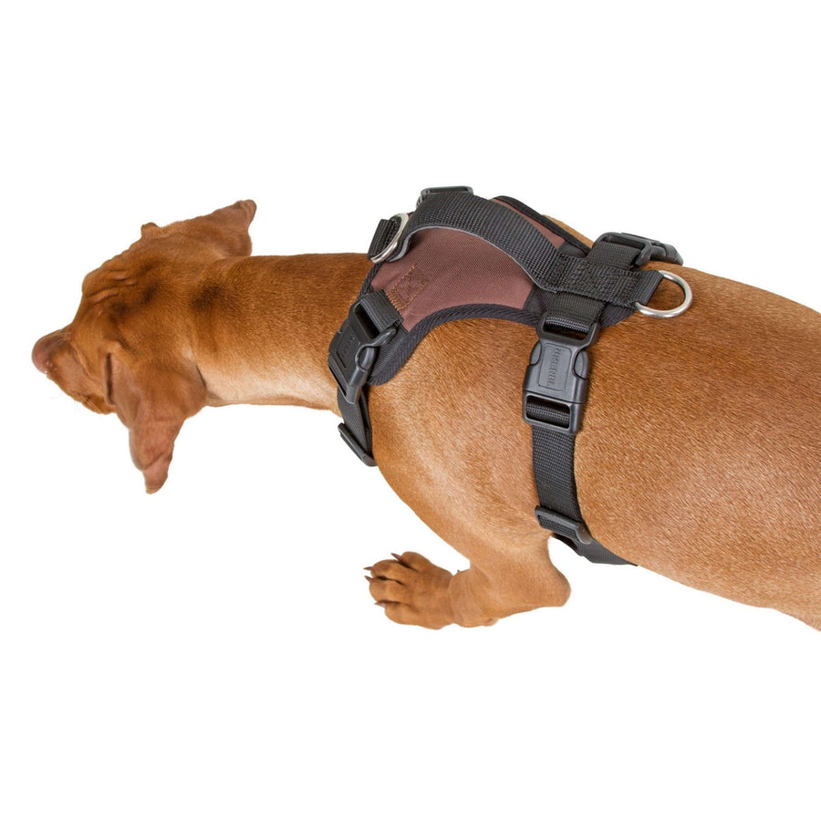 Kerbl Harnas Pulsive Hond Bruin