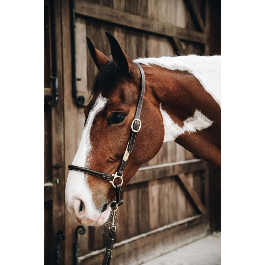 Kentucky Halster Leather Grooming Bruin