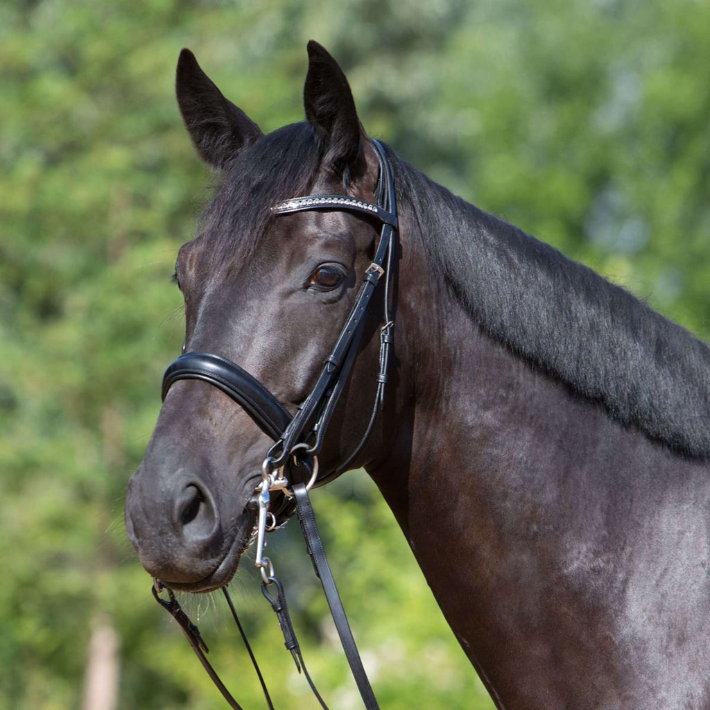Kieffer Stang- en Trenshoofdstel Comfort Lyon Zwart