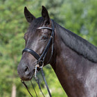 Kieffer Stang- en Trenshoofdstel Comfort Lyon Zwart