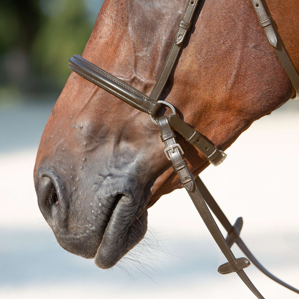 Kieffer Bitloos Kendra met Gesp Anatomisch Bruin