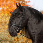 Kieffer Hoofdstel Anja Beran Exclusive Siam Zwart/Brass