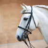 Kieffer Stang- en Trenshoofdstel Anja Beran Exclusive Jonquil Bicolor Zwart/Brass