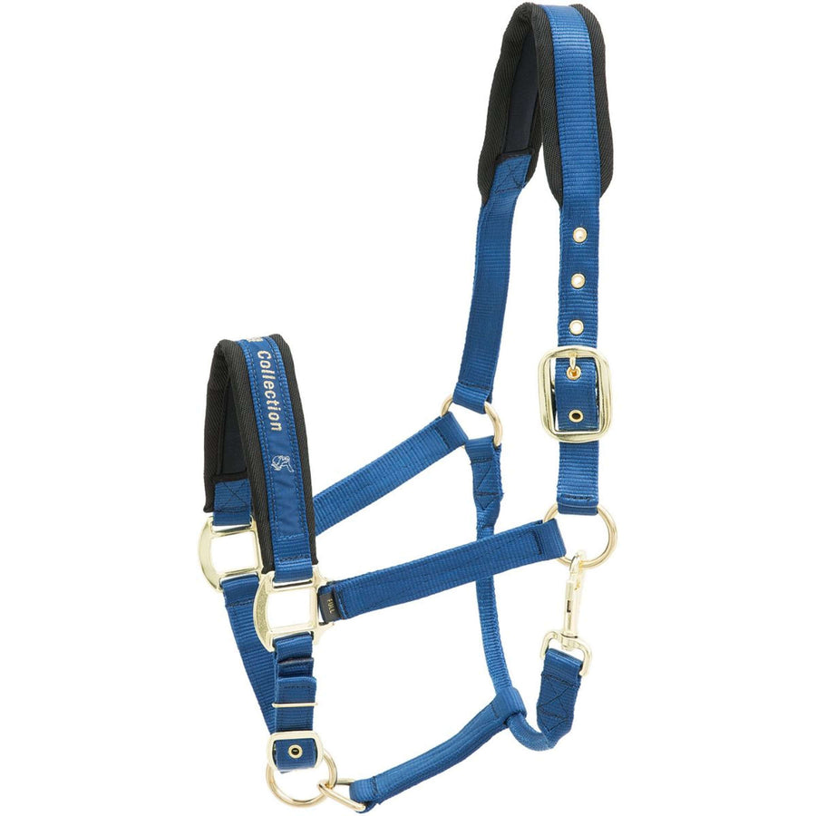 Kieffer Halster Nylon Blauw