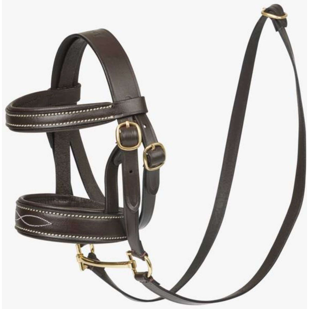 LeMieux Toy Pony Hoofdstel Bruin