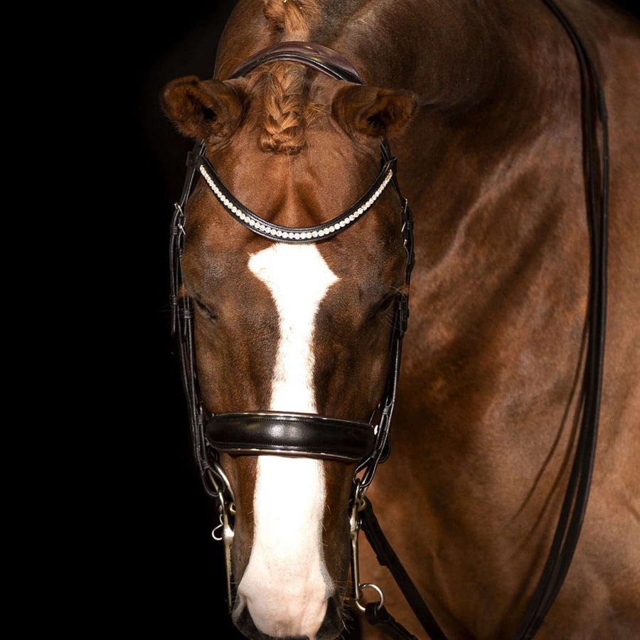 Mrs. Ros Stang & Trenshoofdstel Galaxy Zilver