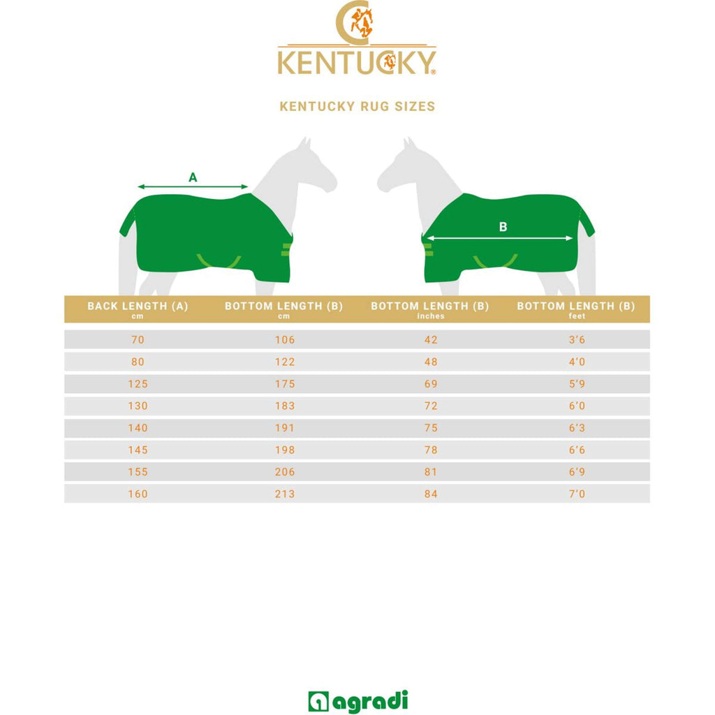 Kentucky Magnetic Rug Recuptex