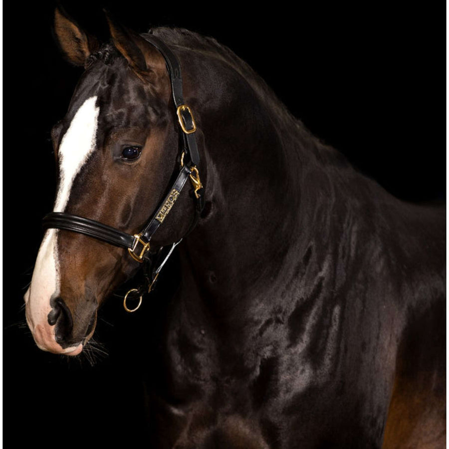 Mrs. Ros Halster Leder Imperial Gold