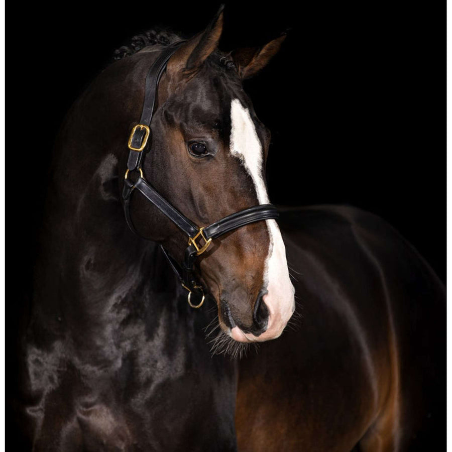 Mrs. Ros Halster Leder Imperial Gold