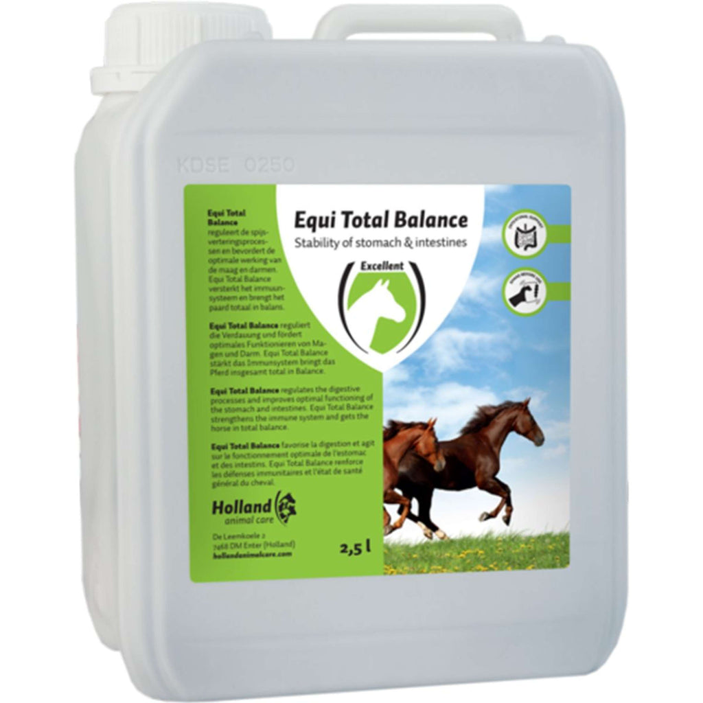 Excellent Equi Total Balance