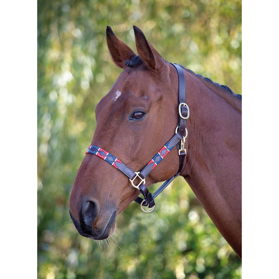 Blenheim by Shires Halster Polo Leer Rood/Navy