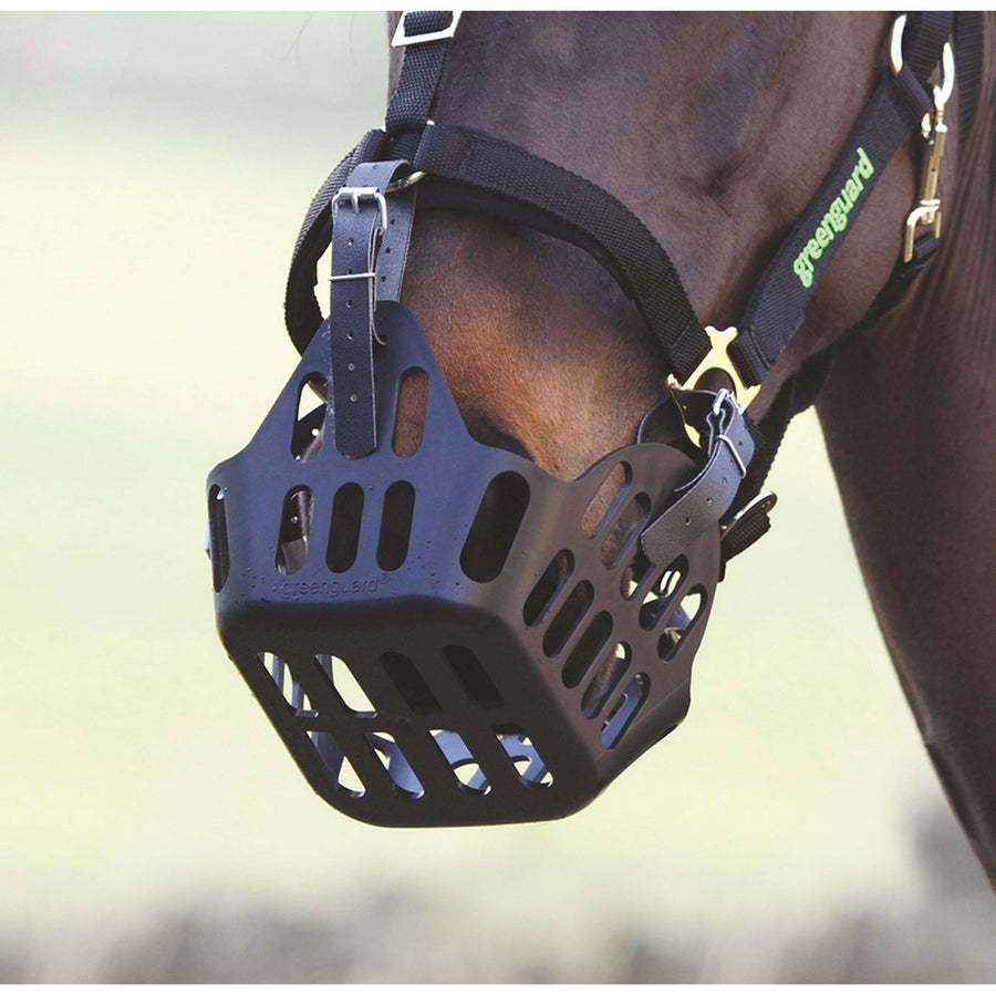 Greenguard by Shires Reserve Riempje Black