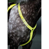 Equi-Flector by Shires Borststuk Reflecterend Fluor Geel