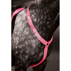 Equi-Flector by Shires Borststuk Reflecterend Fluor Roze
