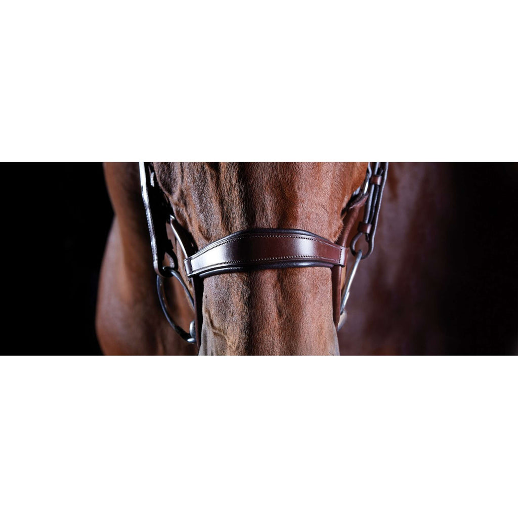 Collegiate Hoofdstel ComFiTec Crystal Zwart