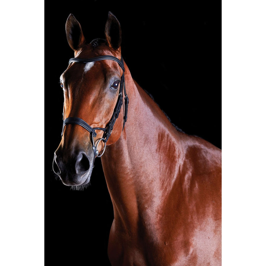 Collegiate Hoofdstel ComFiTec Training Bruin