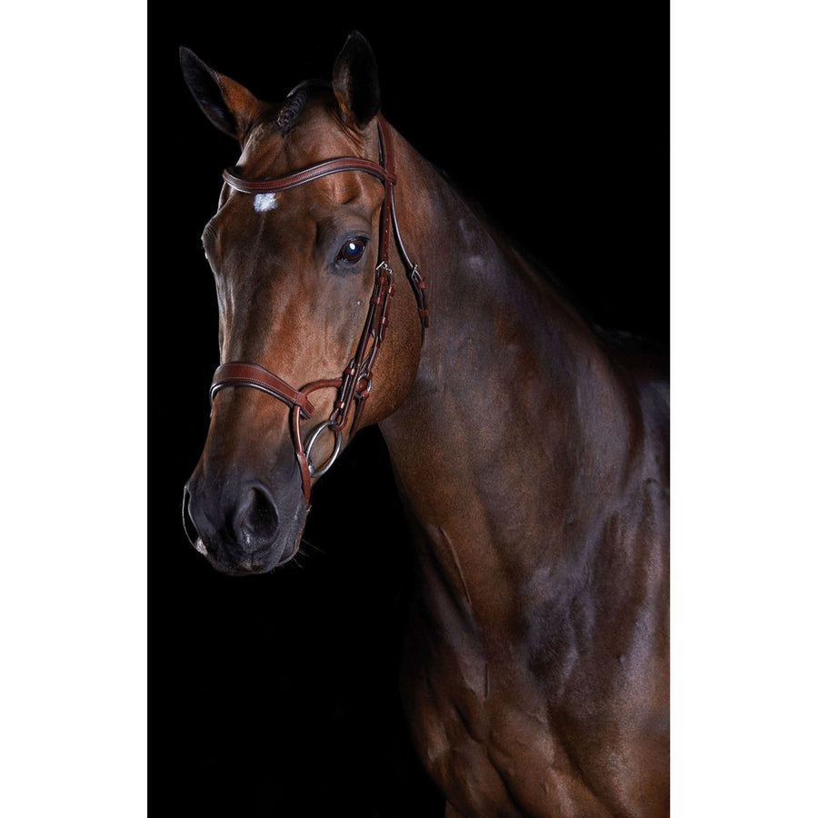 Collegiate Hoofdstel ComFiTec Training Bruin