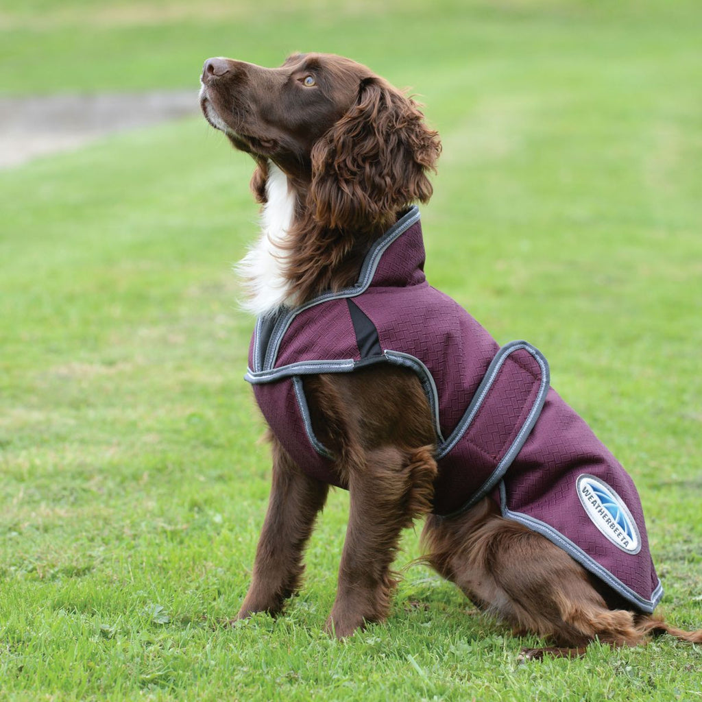 WeatherBeeta Hondenjas ComFiTec Premier Free Parka Deluxe Medium 1200D 220g Maroon/Grijs/Wit