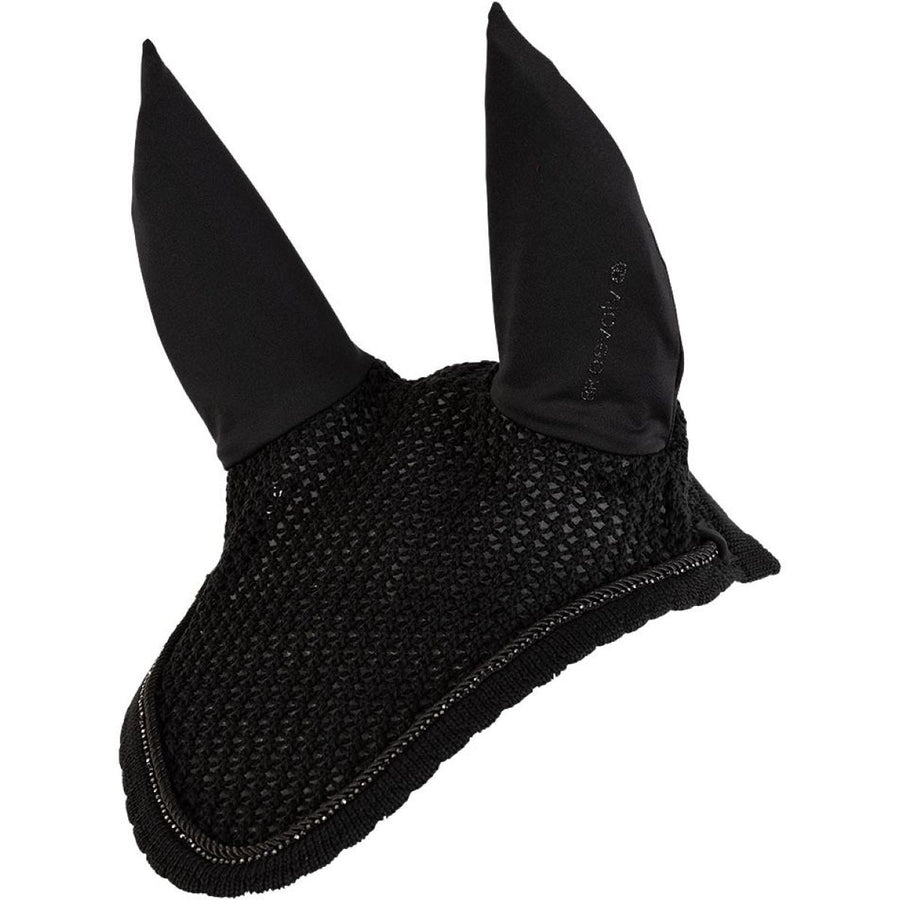 BR Oornetje AW25 Eevolv Jildau Meteorite