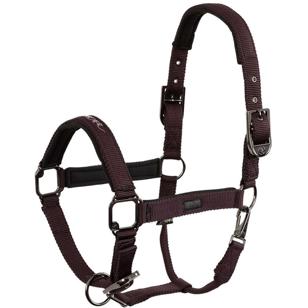 BR Halster AW25 Eevolv Josh Raisin