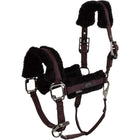 BR Halster AW25 Eevolv Jonne Raisin