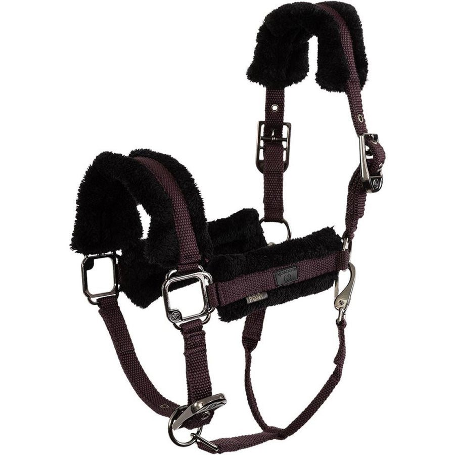 BR Halster AW25 Eevolv Jonne Raisin