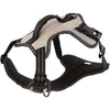 BR Hondentuigje AW25 Moon Rock
