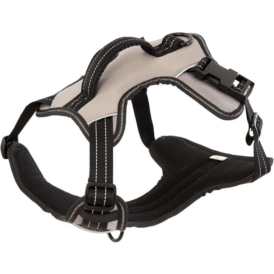 BR Hondentuigje AW25 Moon Rock