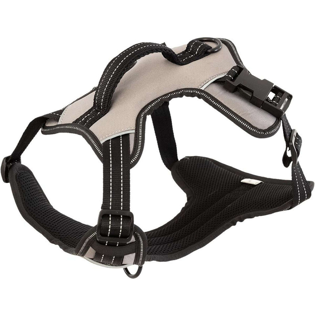 BR Hondentuigje AW25 Moon Rock