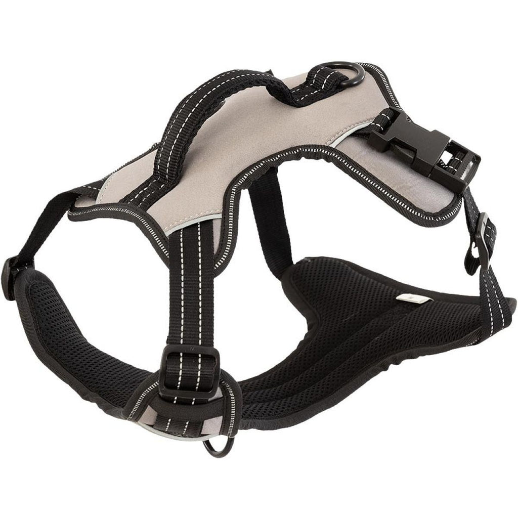 BR Hondentuigje AW25 Moon Rock