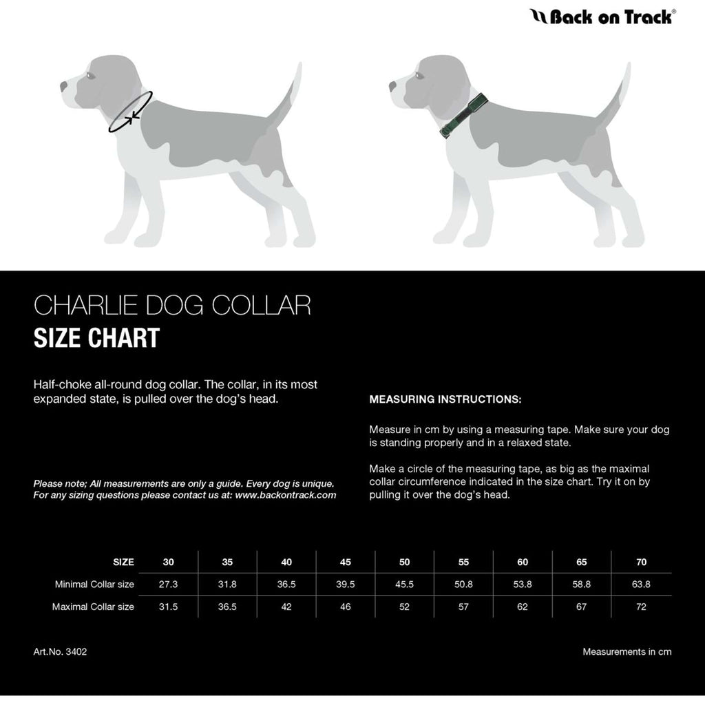 Back on Track Halsband Charlie Bordeaux