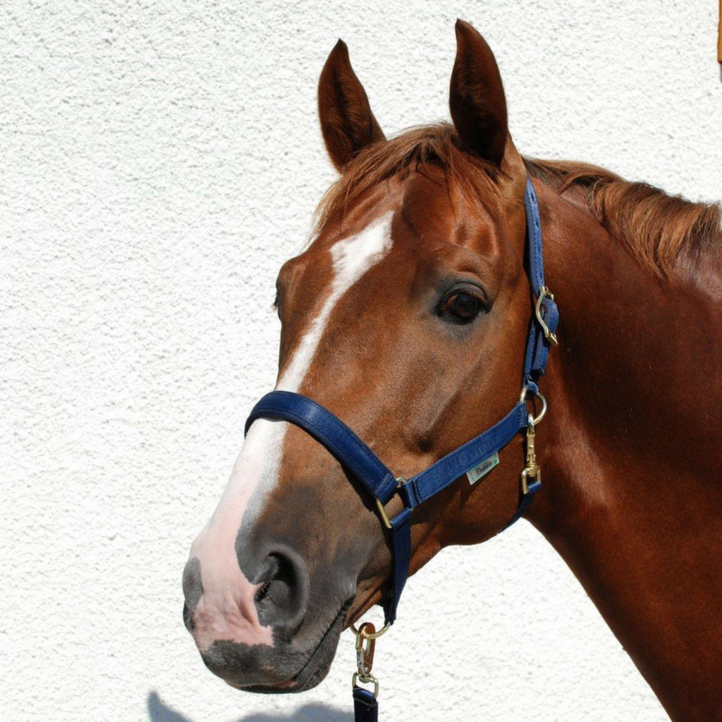 Bucas Halster Dublin Veulen Navy
