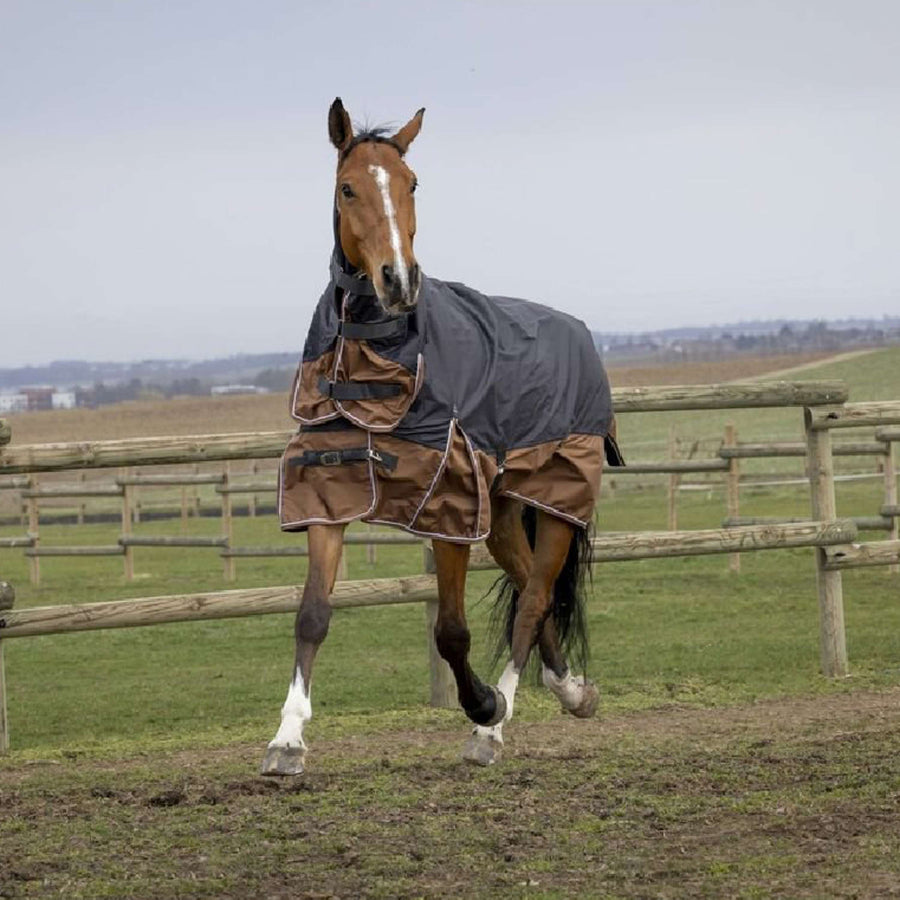 EQUITHÈME Outdoordeken Tyrex 600D Aisance 300g met Hals Grijs/Bruin