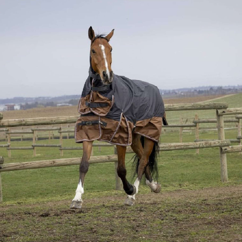 EQUITHÈME Outdoordeken Tyrex 600D Aisance 300g met Hals Grijs/Bruin