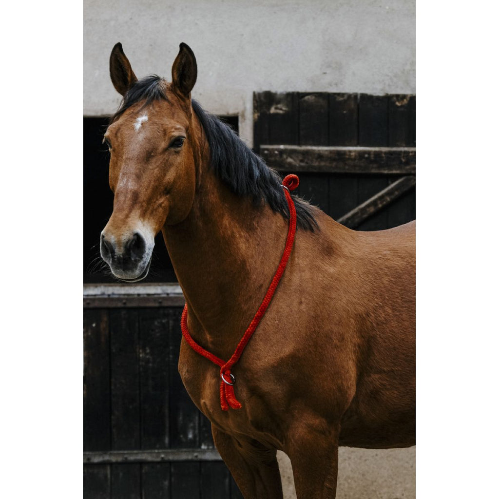 Norton Neckrope Rood