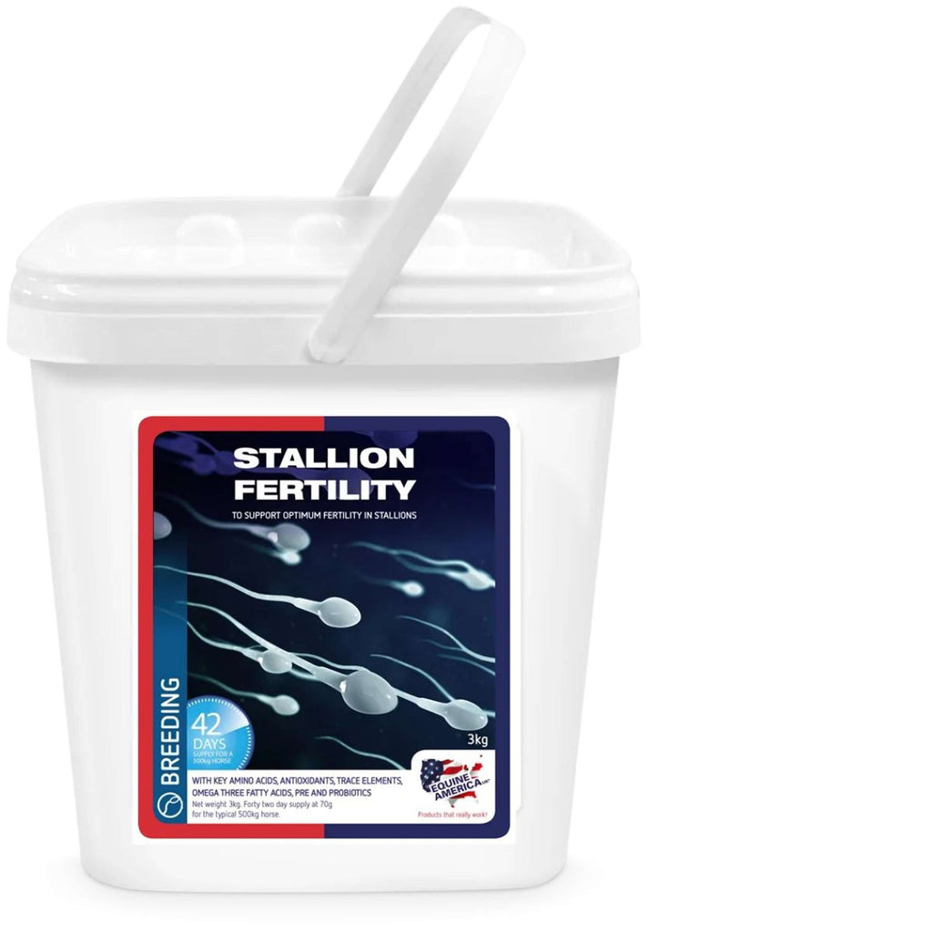 Equine America Stallion