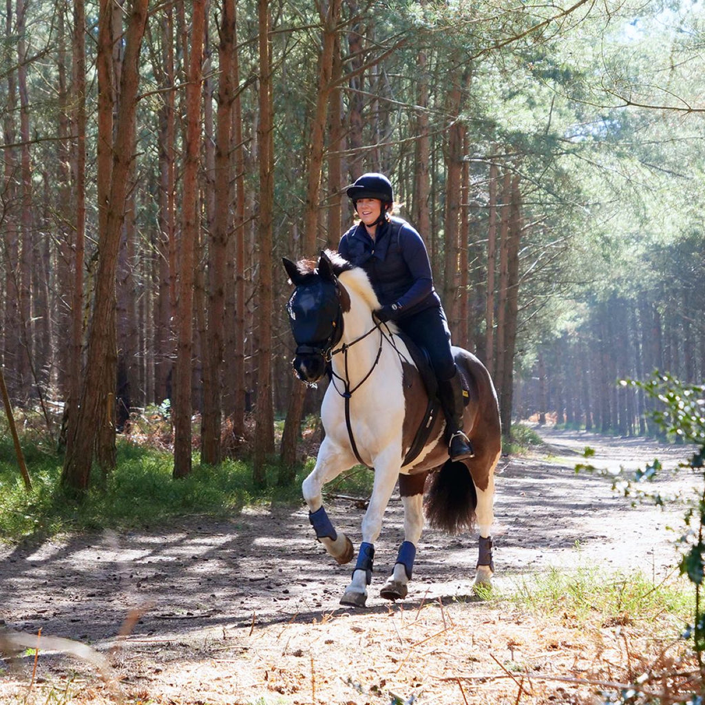 Equilibrium Vliegenmasker Net Relief Voor Hoofdstel