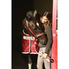 Bucas Lead Rein Dublin Padded Wine/Silver