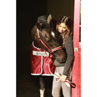 Bucas Lead Rein Dublin Padded Wine/Silver