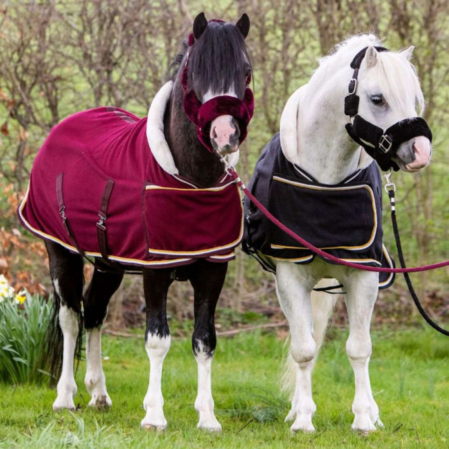 HB Harry & Hector Showdeken Dutch Crown Little Sizes Burgundy
