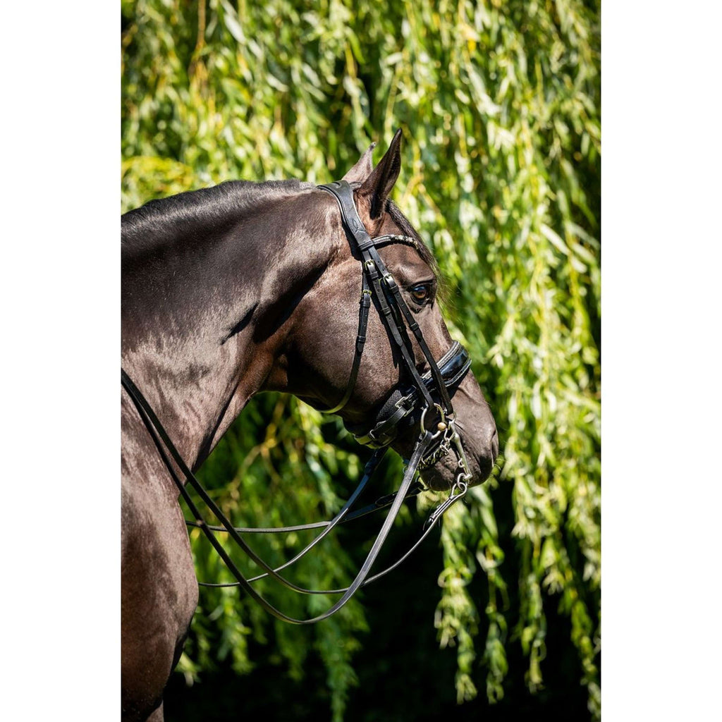 HB Stang- en Trenshoofdstel Special for You Zwart
