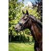HB Stang en Trenshoofdstel Special for You Zwart