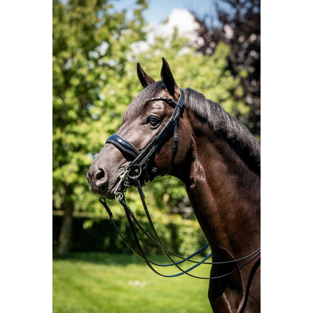 HB Stang- en Trenshoofdstel Special for You Zwart