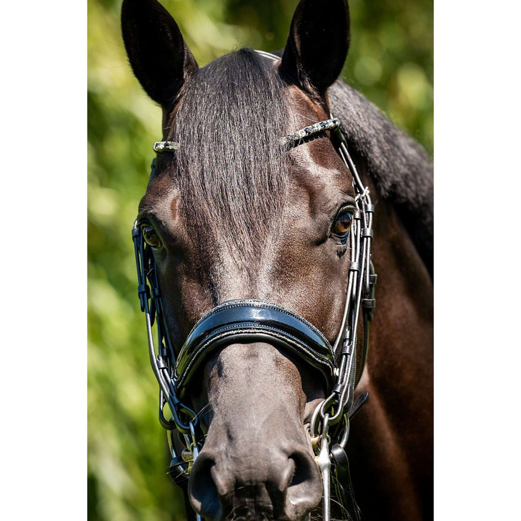 HB Stang- en Trenshoofdstel Special for You Zwart