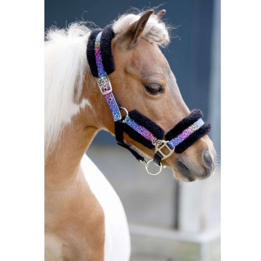 HB Halster Funny Little Sizes Zwart/Rainbow