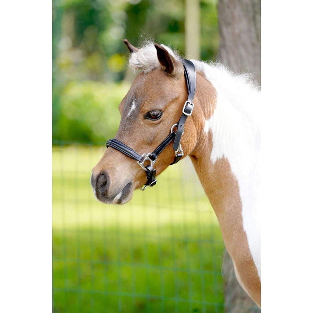 HB Halster Showtime Little Sizes Leer Zwart
