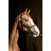 HB Halster Showtime Glitty Brown/Golden Glitter